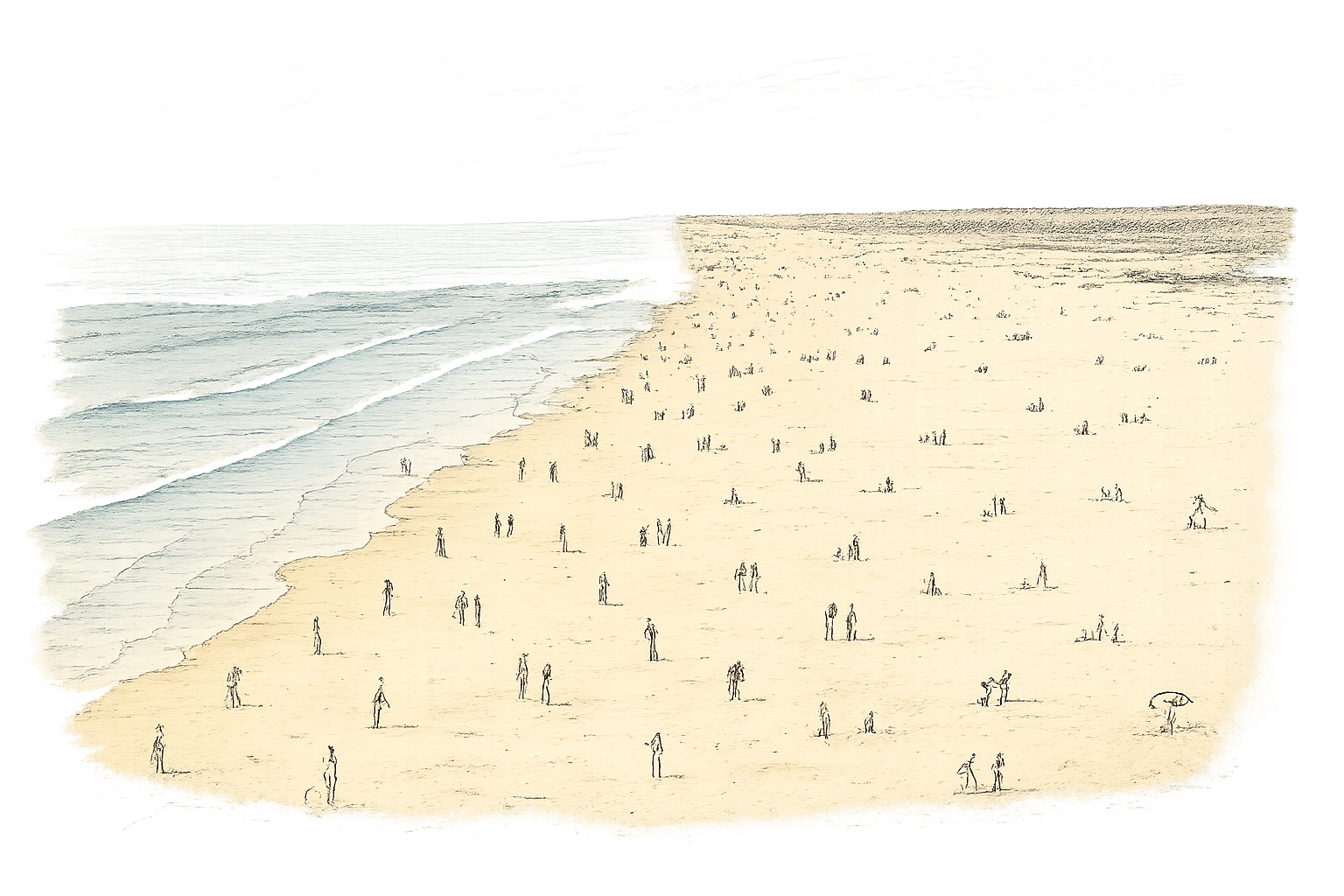 avis mimizan plage
