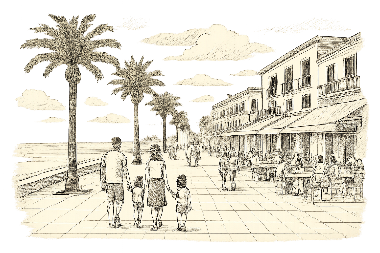 avis torrevieja espagne