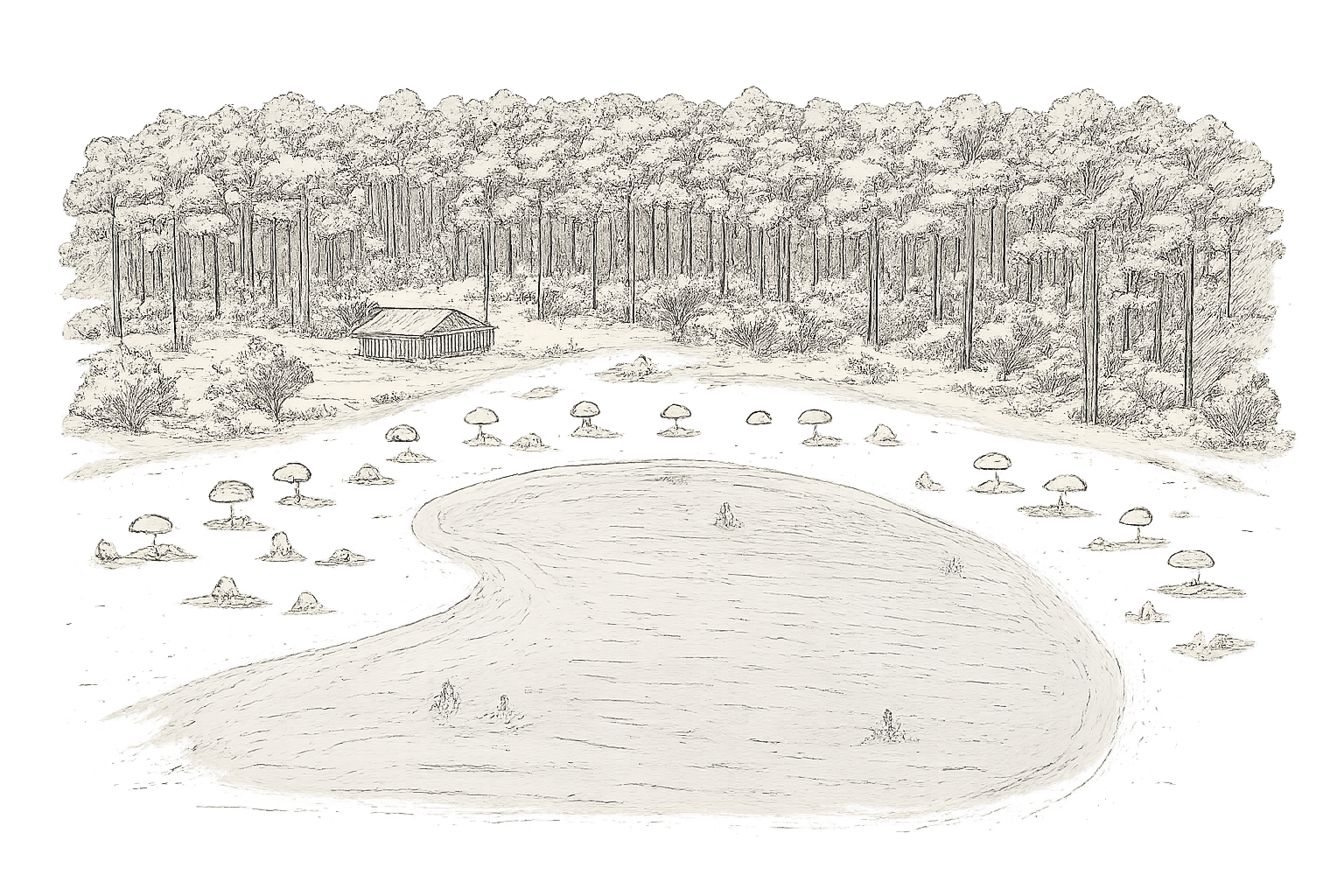 camping campéole navarrosse plage avis